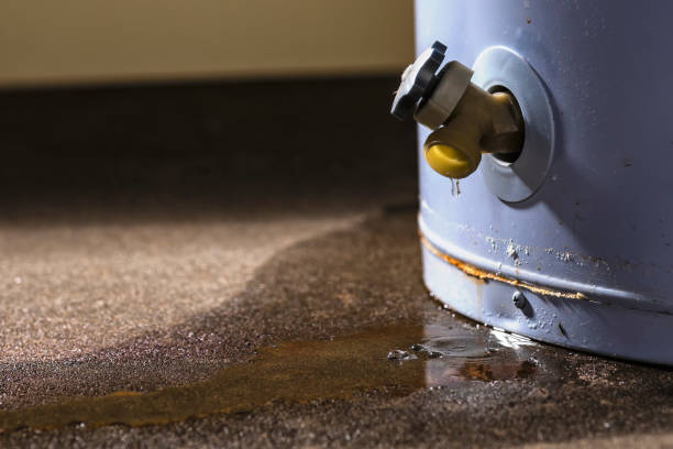  Forest View, IL Water damage restoration Pros