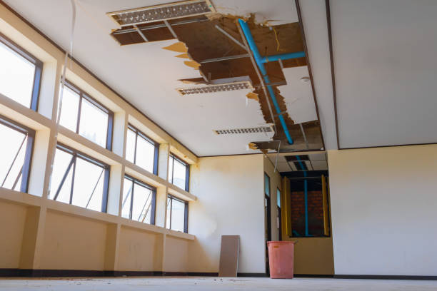 Best Fire Damage Restoration  in Forest View, IL