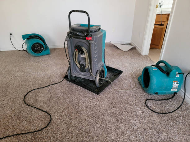 Best Ceiling water damage repair  in Forest View, IL
