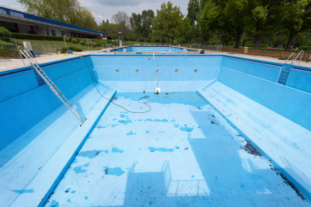 Best Professional water damage repair  in Forest View, IL