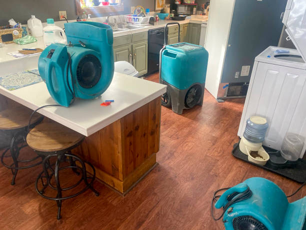 Best Commercial water damage restoration  in Forest View, IL