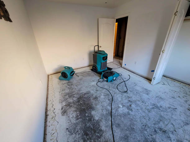 Best Water damage contractors near me  in Forest View, IL