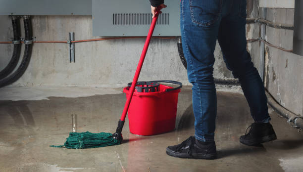 Best Water damage restoration insurance claims  in Forest View, IL