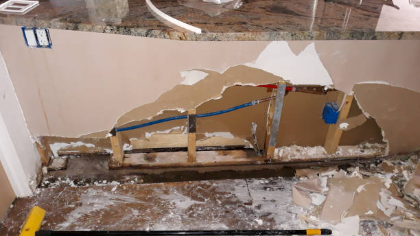 Best Flooded house restoration  in Forest View, IL