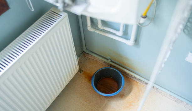 Best Flood damage cleanup  in Forest View, IL