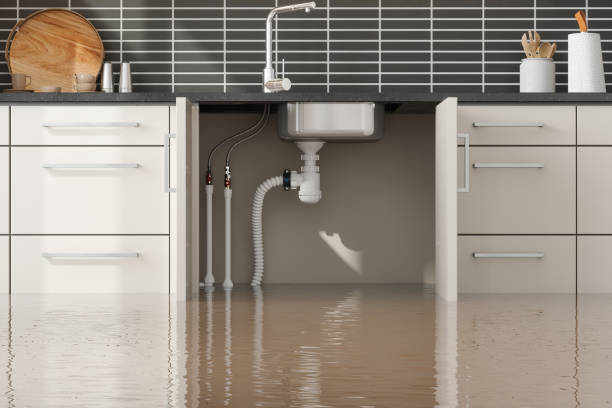 Best Residential water damage restoration  in Forest View, IL