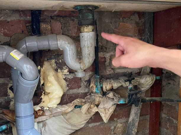Best Flood damage cleanup  in Forest View, IL