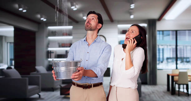 Best Local water damage restoration  in Forest View, IL
