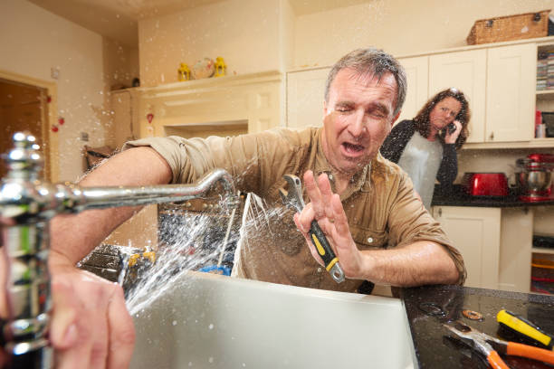 Best Water damage restoration mold remediation  in Forest View, IL